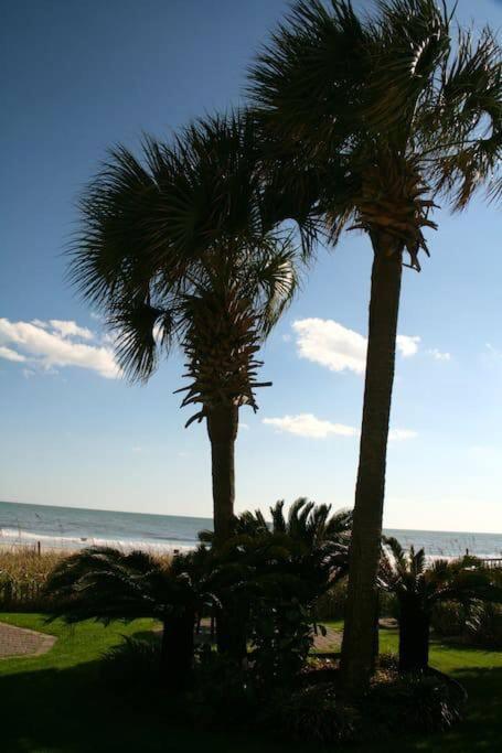 *Top Notch Family Space*Pool*Steps To The Sand*Huge Master*Wt0 マートルビーチ エクステリア 写真